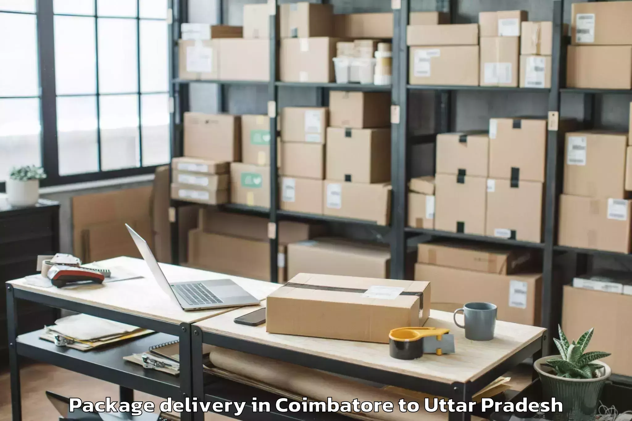 Top Coimbatore to Shiv Nadar University Dadri Package Delivery Available